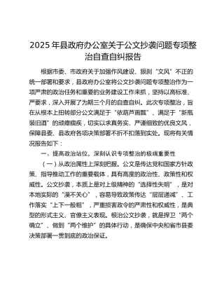 2025年县政府办公室关于公文抄袭问题专项整治自查自纠报告