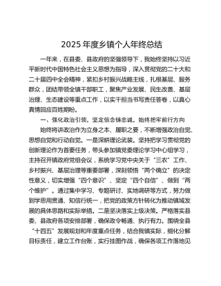 2025年度乡镇个人年终总结