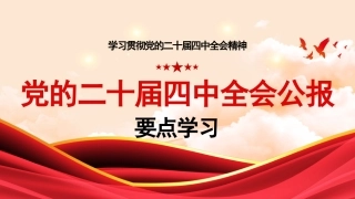 学习贯彻党的二十届四中全会精神PPT