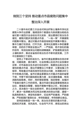做到三个坚持推动重点市县腐败问题集中整治深入开展