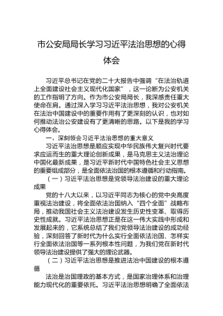 市公安局局长学习习近平法治思想的心得体会