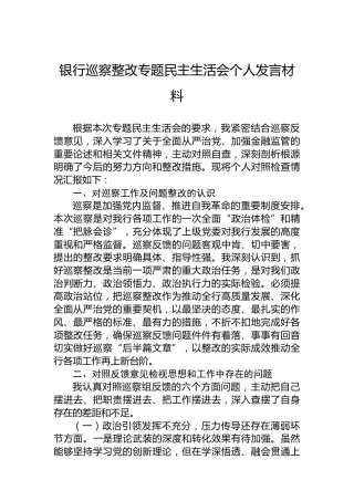 银行巡察整改专题民主生活会个人发言材料