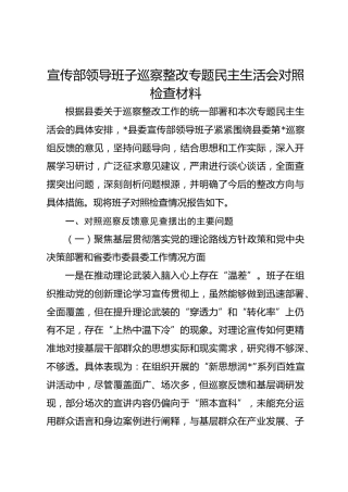 宣传部领导班子巡察整改专题民主生活会对照检查材料