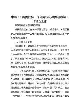 中共XX县委社会工作部党组向县委巡察组工作情况汇报