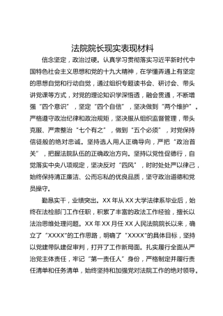 法院院长现实表现材料