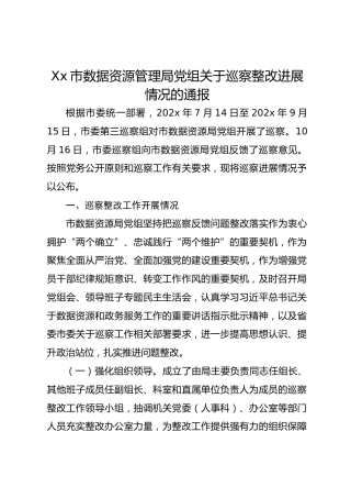 Xx市数据资源管理局党组关于巡察整改进展情况的通报