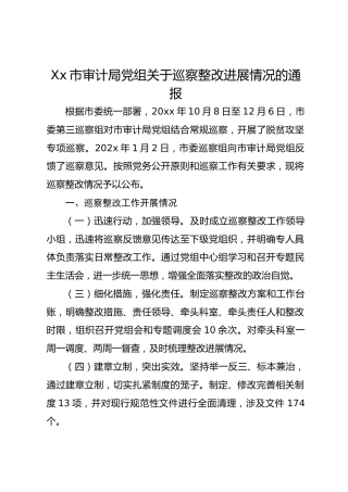 Xx市审计局党组关于巡察整改进展情况的通报