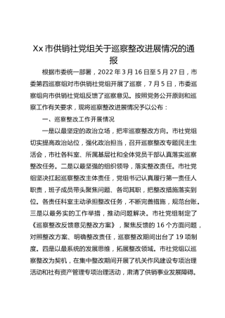 Xx市供销社党组关于巡察整改进展情况的通报