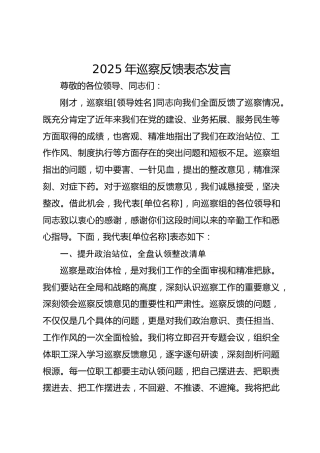 2025年巡察反馈表态发言