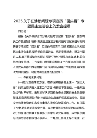2025关于在涉粮问题专项巡察“回头看”专题民主生活会上的发言提纲
