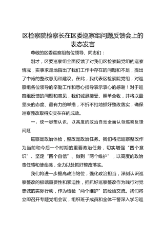 区检察院检察长在区委巡察组问题反馈会上的表态发言1