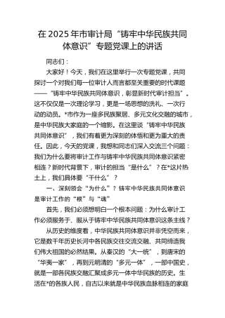 在市审计局“铸牢中华民族共同体意识”专题党课上的讲话