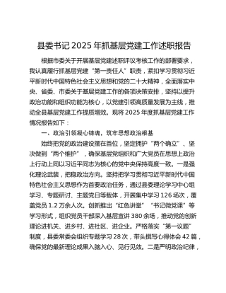 县委书记2025年抓基层党建工作述职报告