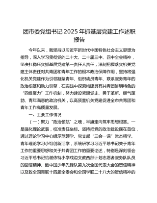 团市委党组书记2025年抓基层党建工作述职报告