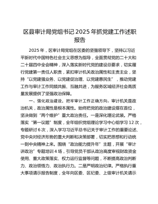 区县审计局党组书记2025年抓党建工作述职报告