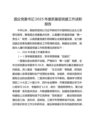 国企党委书记2025年度抓基层党建工作述职报告
