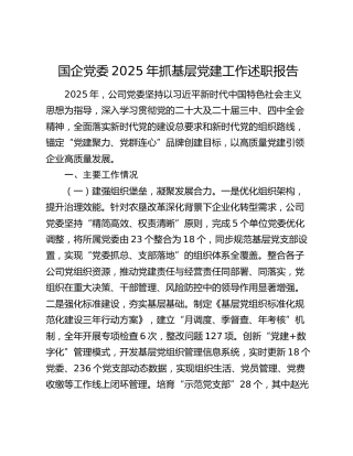 国企党委2025年抓基层党建工作述职报告