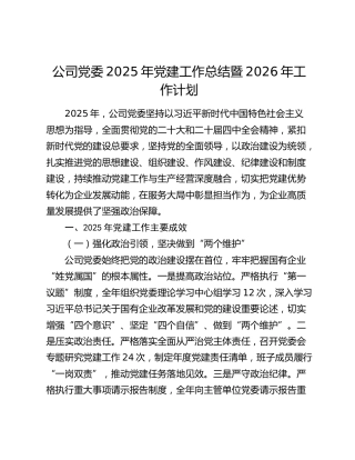 公司党委2025年党建工作总结暨2026年工作计划（2）
