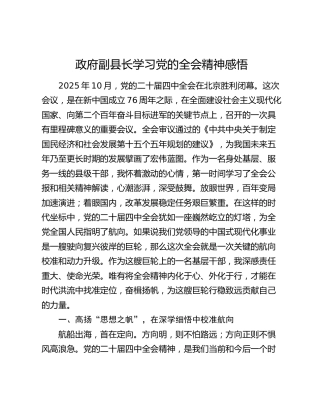 政府副县长学习党的二十届四中全会精神感悟