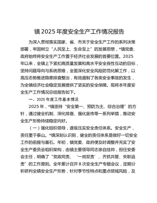 镇2025年度安全生产工作情况报告