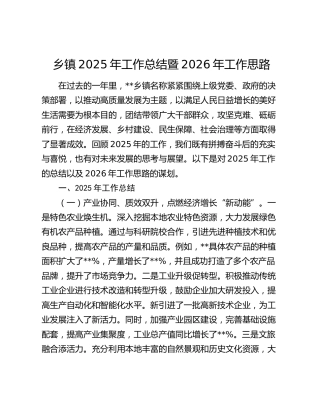 乡镇2025年工作总结暨2026年工作思路