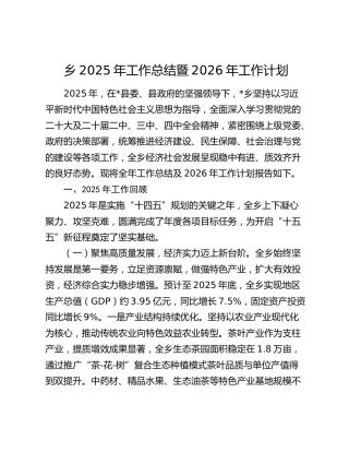 乡2025年工作总结暨2026年工作计划