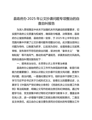 县政府办2025年公文抄袭问题专项整治的自查自纠报告