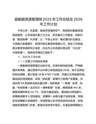 县数据资源管理局2025年工作总结及2026年工作计划