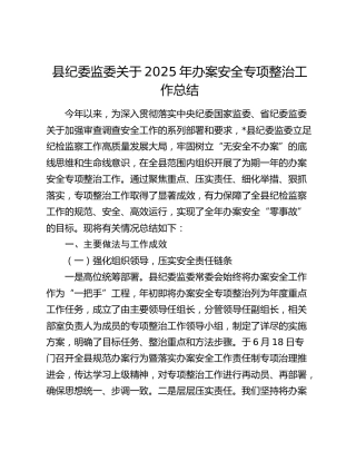 县纪委监委关于2025年办案安全专项整治工作总结