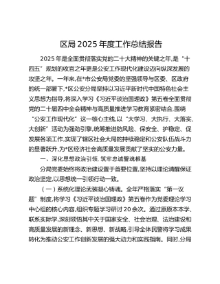 区局2025年度工作总结报告