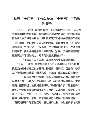 某局“十四五”工作总结与“十五五”工作谋划报告