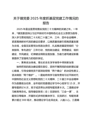 关于镇党委2025年度抓基层党建工作情况的报告