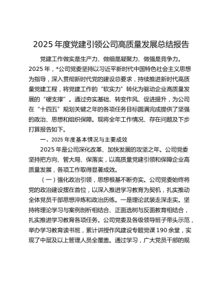 2025年度党建引领公司高质量发展总结报告