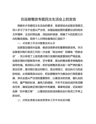 在巡察整改专题民主生活会上的发言