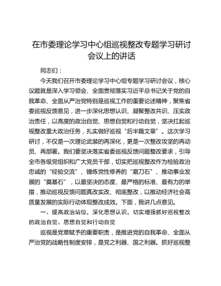在市委理论学习中心组巡视整改专题学习研讨会议上的讲话