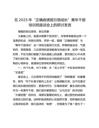 在2025年“正确政绩观引领成长”青年干部培训班座谈会上的研讨发言