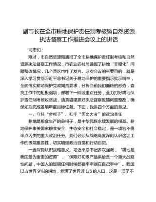 副市长在全市耕地保护责任制考核暨自然资源执法督察工作推进会议上的讲话