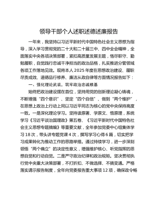2025年度个人述职述德述廉报告（思想政治建设、履职尽责成效、道德品行修养、廉洁从政自律）