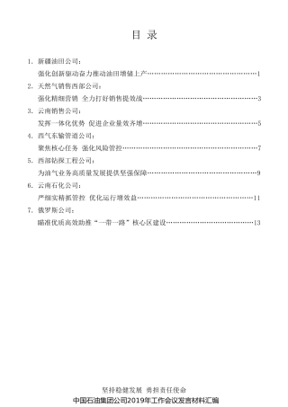 经验交流系列第19期（6篇）中国石油集团公司2019年工作会议发言材料汇编