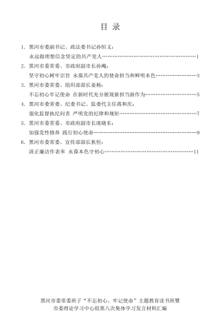 经验交流系列第167期（6篇）黑河市委常委班子“不忘初心、牢记使命”主题教育读书班发言材料汇编