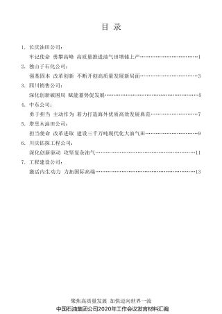 经验交流系列第232期（7篇）中国石油集团公司2020年工作会议发言材料汇编