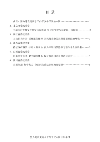 经验交流系列第234期（5篇）中央政法工作会议发言材料汇编