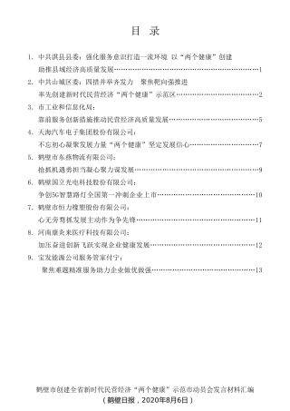 经验交流系列第314期（9篇）鹤壁市创建全省新时代民营经济“两个健康”示范市动员会发言材料汇编