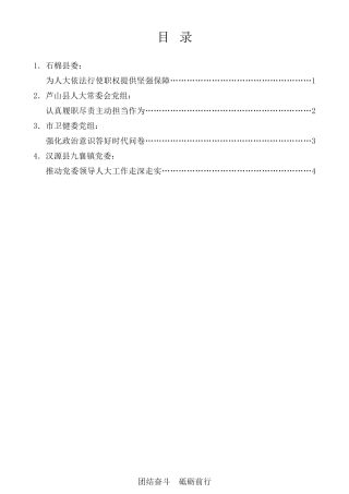 经验交流系列第451期（4篇）雅安市委人大工作会议发言材料汇编