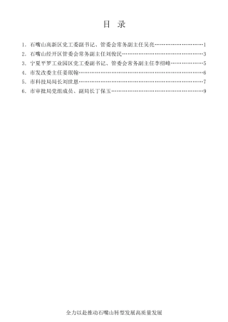 经验交流系列第487期（6篇）石嘴山市党政考察团赴宁东考察学习部分成员交流发言材料汇编