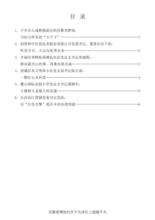 经验交流系列第521期（6篇）长沙市“两优一先”代表座谈会上先进典型代表发言材料汇编
