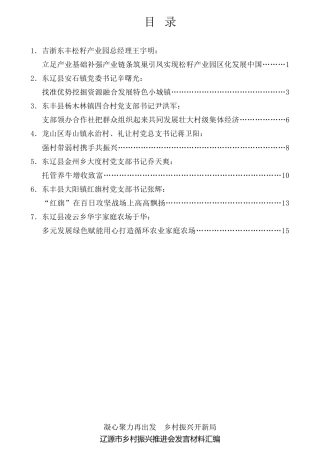 经验交流系列第623期（7篇）辽源市乡村振兴推进会发言材料汇编