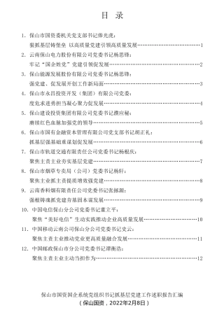 经验交流系列第683期（12篇）2021年保山市国资国企系统党组织书记抓基层党建工作述职报告汇编（企业央企国企）