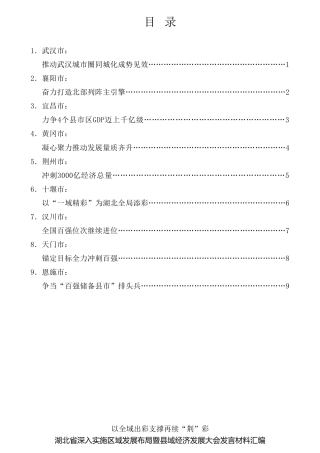 经验交流系列第689期（9篇）湖北省深入实施区域发展布局暨县域经济发展大会发言材料汇编