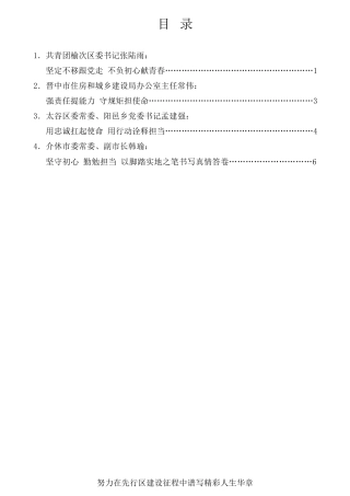 经验交流系列第716期（4篇）晋中市年轻干部座谈会发言材料汇编